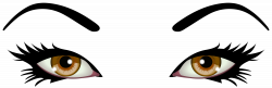 Brown Female Eyes PNG Clip Art - Best WEB Clipart