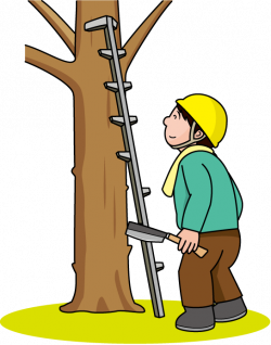 Ladder Clipart Png. Perfect Ladder Clip Art With Ladder Clipart Png ...