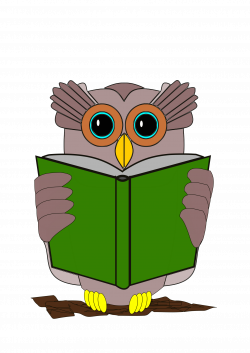 Clipart - The owl is reading a book