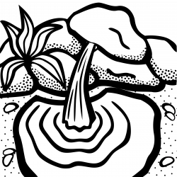 Clipart - water spring - lineart