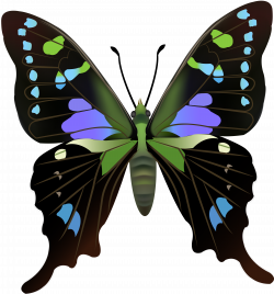 Butterfly PNG Clip Art - Best WEB Clipart