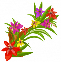 Exotic Flowers Decoration PNG Image | Flowers | Pinterest | Exotic ...
