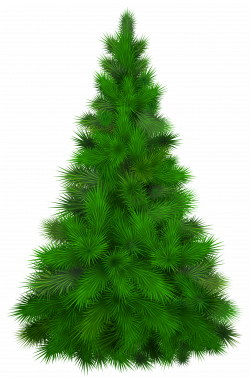 Green Pine Tree PNG Clip Art - Best WEB Clipart