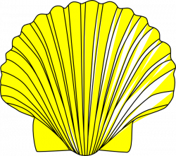 Shell clip art - vector clip art online, royalty free & public ...