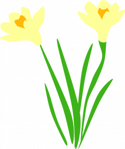 Daffodils are up! Icons PNG - Free PNG and Icons Downloads