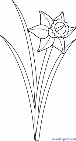Daffodil Lineart Clip Art - Sweet Clip Art