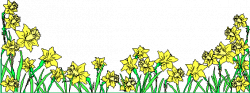 Free Daffodil Border Cliparts, Download Free Clip Art, Free ...