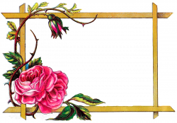 Antique Images: Floral Frame Digital Download Pink Rose Border ...