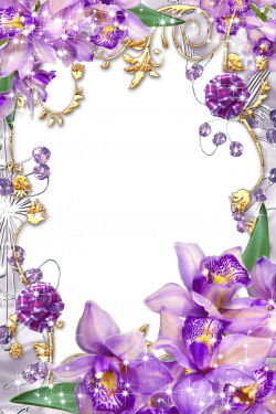 Purple Flower Borders and Frames | Purple-Flowers-Golden-Floral ...