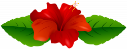 Red Hibiscus Transparent PNG Clip Art Image | Gallery Yopriceville ...