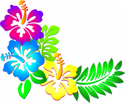 Hibiscus Flower Clip Art | hibiscus corner clip art | Clip ...