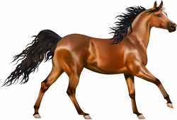 Transparent Brown Horse PNG Clipart | Gallery Yopriceville - High ...