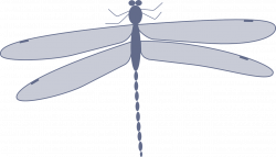 Insect Dragonfly Animation Clip art - Gray dragonfly 1280*735 ...