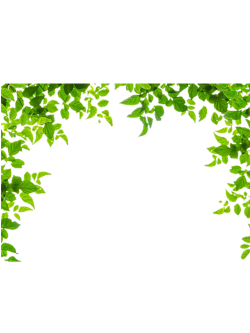 Borders and Frames Leaf Green Clip art - Green leaves border 500*666 ...