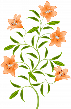 Orange Lily PNG Clip Art Image | Gallery Yopriceville - High ...