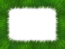Grass Frame Isolated With Transparent Background Free (Nature-Grass ...