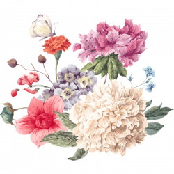 Peony Flower Clip art - Romantic floral decorative design 800*800 ...