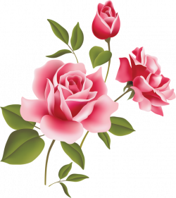 Pink Rose Art Picture Clipart | Gallery Yopriceville - High-Quality ...