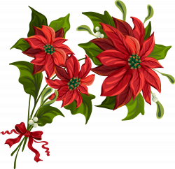 Transparent Christmas PNG Poinsettia Clipart | Gallery Yopriceville ...