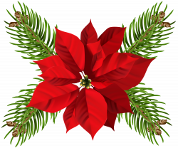 Christmas Poinsettia Transparent PNG Clip Art | Gallery ...