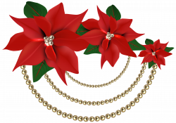 Decorative Christmas Poinsettias with Pearls PNG Clipart Image ...