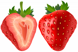 Strawberry Transparent PNG Clip Art Image | Gallery Yopriceville ...