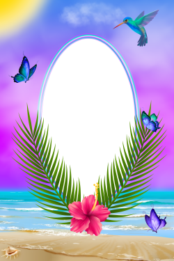 Exotic Summer PNG Transparent Frame | Gallery Yopriceville - High ...
