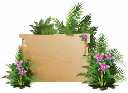 Summer Exotic Board PNG Clipart | Gallery Yopriceville - High ...