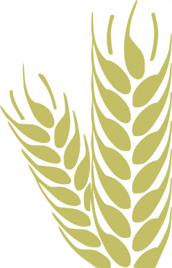 Wheat Trigo Clipart | i2Clipart - Royalty Free Public Domain Clipart