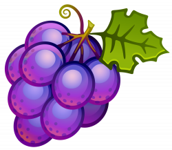 Large Painted Grapes PNG Clipart | Gallery Yopriceville - High ...