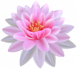 Pink Water Lily PNG Clipart Image | Stickers | Pinterest | Clipart ...