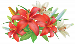 Red Lilies Flowers Decoration PNG Clipart Image | flowers ...