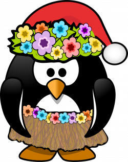 Christmas in July Penguin Icons PNG - Free PNG and Icons Downloads