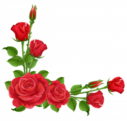 Red Roses Transparent PNG Clipart | Boarders, Corners & Dividers ...