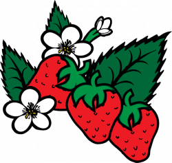 Strawberries Clip Art at Clker.com - vector clip art online, royalty ...