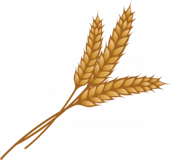 28+ Collection of Wheat Clipart Images | High quality, free cliparts ...