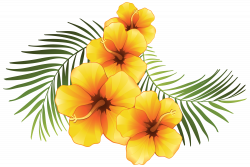Exotic Floral Decoration Transparent PNG Clip Art Image | Gallery ...