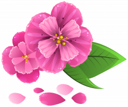 Pink Flower with Petals PNG Clipart Image | Gallery Yopriceville ...