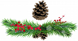 Pine Branches and Pine Cones PNG Picture | Gallery Yopriceville ...