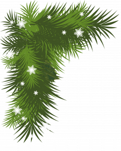 Snowy Pine Branch PNG Picture | Gallery Yopriceville - High-Quality ...