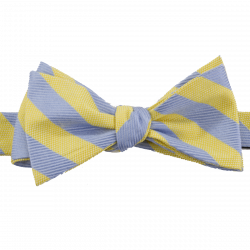 Striped Bow Tie PNG Transparent Striped Bow Tie.PNG Images. | PlusPNG