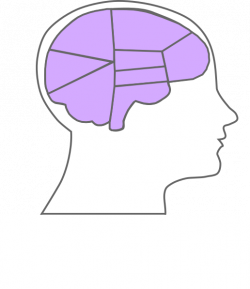 Head And Brain Outline Clip Art at Clker.com - vector clip art ...