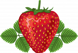 Strawberry PNG Image Without Background | Web Icons PNG