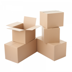 Oxbox™ Cartons - Cardboard