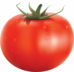 red tomatoes png - Free PNG Images | TOPpng