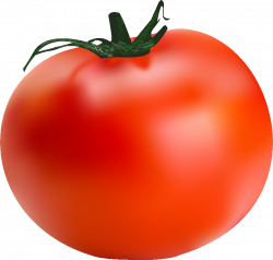 Killer Tomato by modestgoddess on DeviantArt