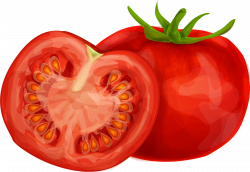 Tomato PNG Images – Transparent Photos | PNG Only