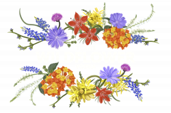 Wildflower Watercolour Flowers Vodka Clip art - wildflower heading ...