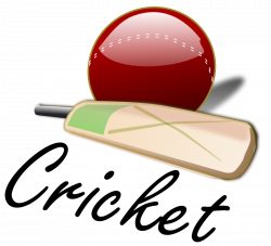 Cricket English Jokes | Uminto.com