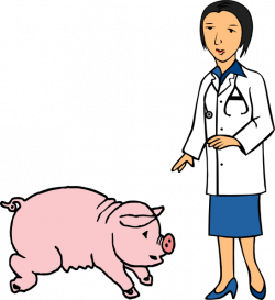 Doctor And Pig Clip Art at Clker.com - vector clip art online ...